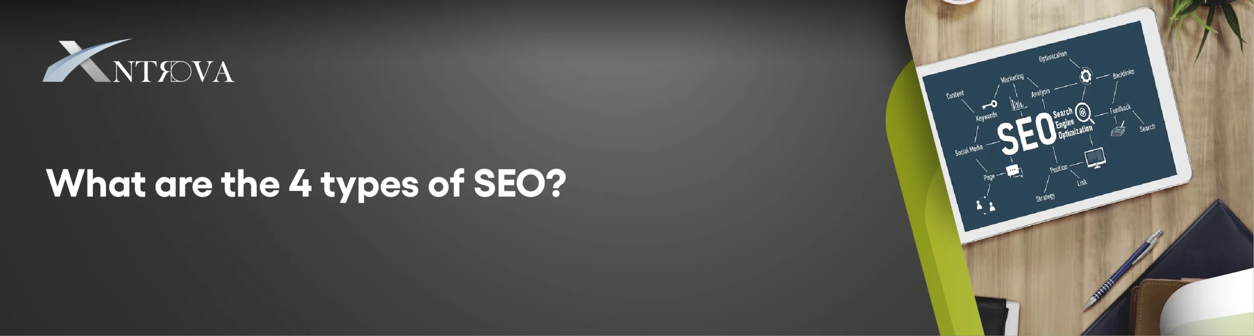 types of SEO