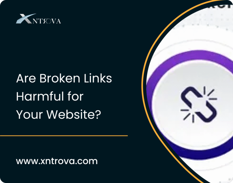 Broken Links Harmful for Your Website