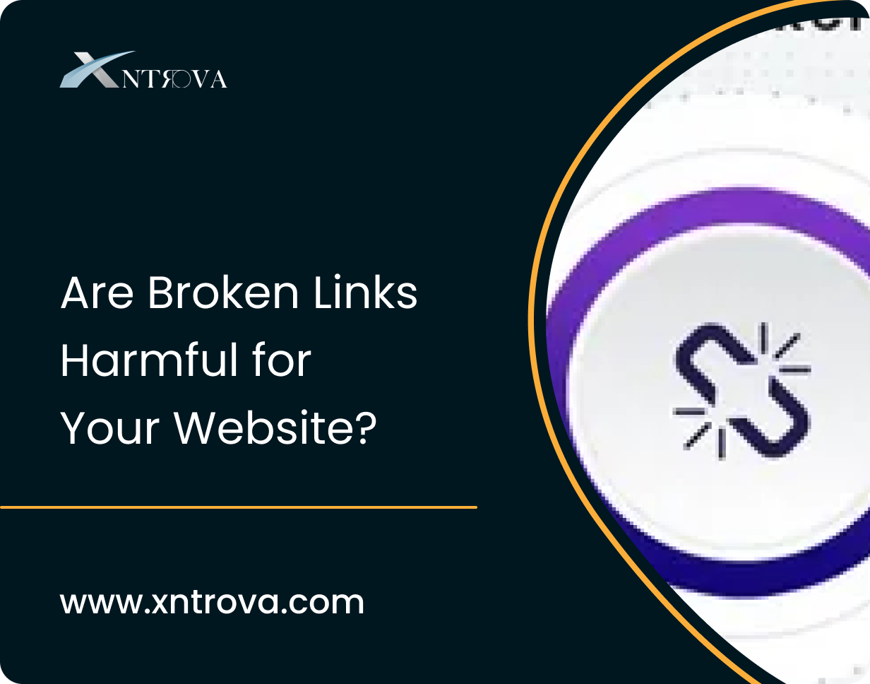 Broken Links Harmful for Your Website
