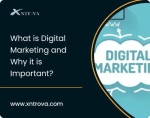 Digital Marketing Importance